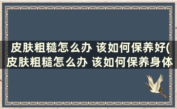 皮肤粗糙怎么办 该如何保养好(皮肤粗糙怎么办 该如何保养身体)